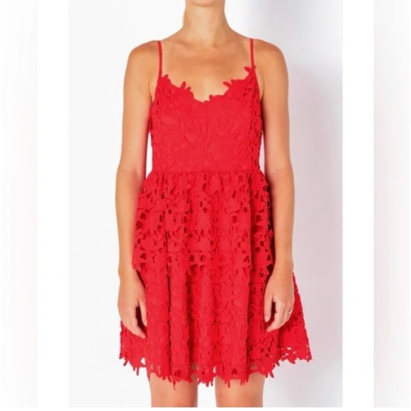 NWT Endless Rose crochet tiered mini dress Size Medium - Picture 1 of 4